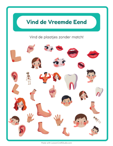 Voorbeeld van het Objecten Zoeken-werkblad met Lichaamsdelen voor kleuterklas