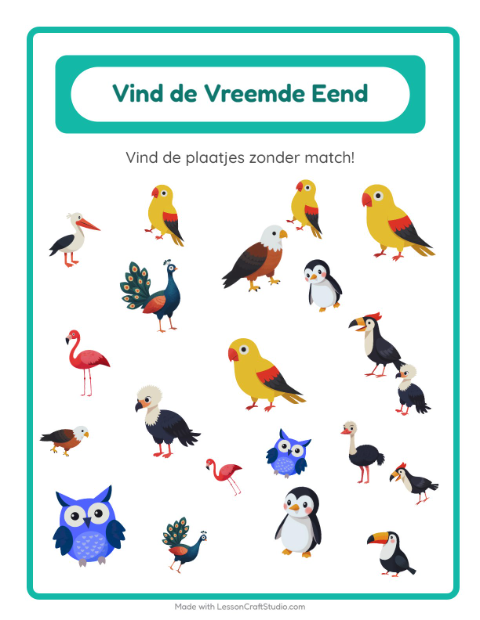 Voorbeeld van het Objecten Zoeken-werkblad met Vogels voor kleuterklas