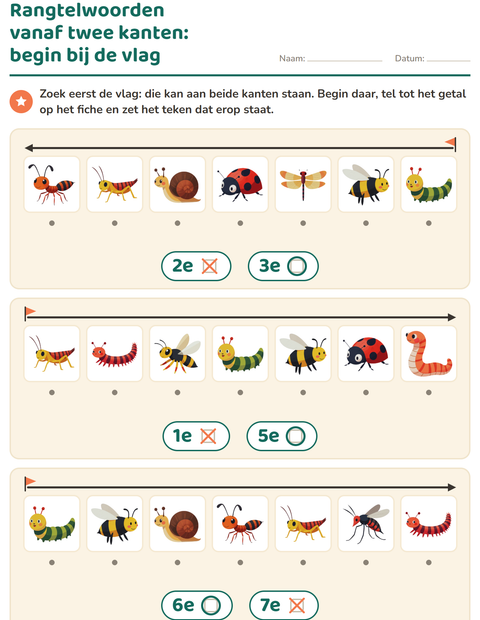 Voorbeeld van het Rangtelwoorden-werkblad met Insecten en beestjes voor kleuterklas