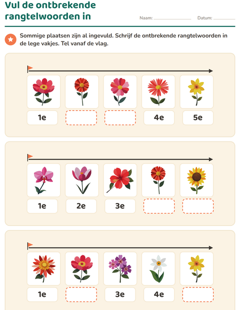 Voorbeeld van het Rangtelwoorden-werkblad met Bloemen voor groep 3