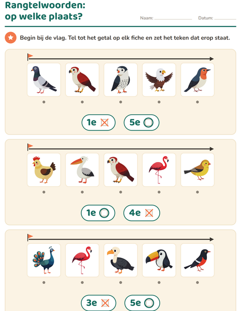 Voorbeeld van het Rangtelwoorden-werkblad met Vogels 2 voor kleuterklas