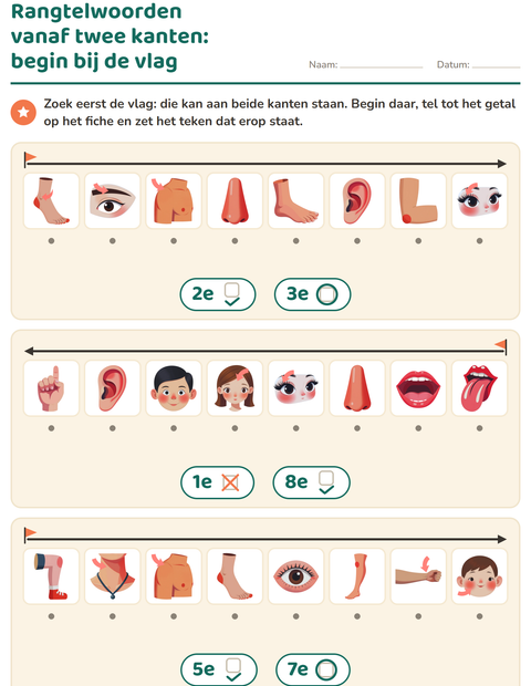 Voorbeeld van het Rangtelwoorden-werkblad met Lichaamsdelen voor kleuterklas