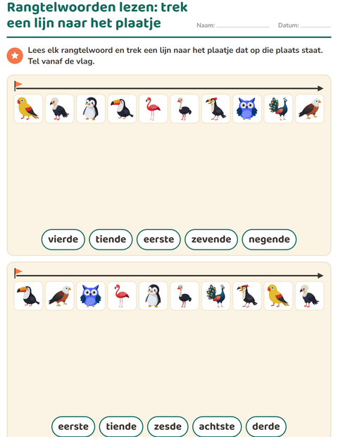 Voorbeeld van het Rangtelwoorden-werkblad met Vogels voor groep 3