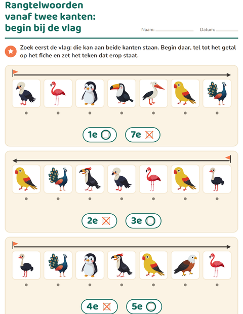 rangtelwoorden-vogels-k336-4