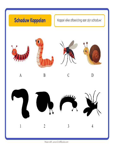 Schaduwspel – Insecten en beestjes