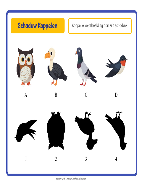 Voorbeeld van het Schaduw Koppelen-werkblad met Vogels 2 voor kleuterklas