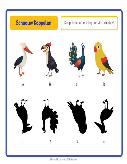 Voorbeeld van het Schaduw Koppelen-werkblad met Vogels voor kleuterklas