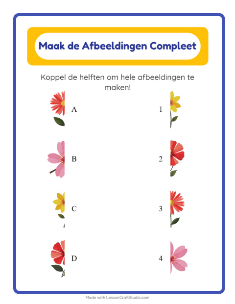 Voorbeeld van het Schaduw Koppelen-werkblad met Bloemen voor kleuterklas