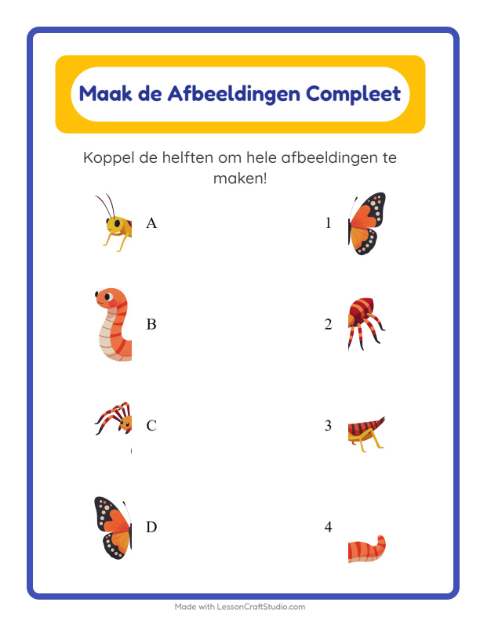 Schaduwspel – Insecten en beestjes