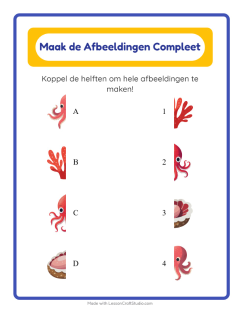 Schaduwspel – Oceaanleven