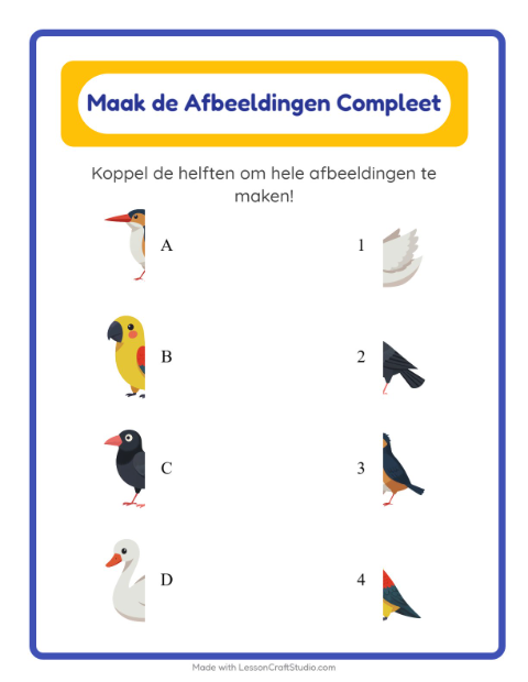 Voorbeeld van het Schaduw Koppelen-werkblad met Vogels 2 voor kleuterklas