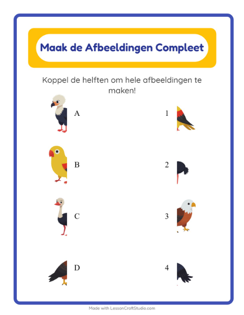 Voorbeeld van het Schaduw Koppelen-werkblad met Vogels voor kleuterklas