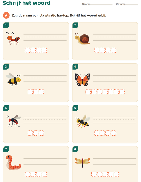 Voorbeeld van het Schrijf het woord-werkblad met Insecten en beestjes voor groep 3