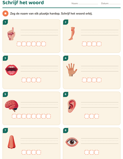 Voorbeeld van het Schrijf het woord-werkblad met Lichaamsdelen voor groep 3