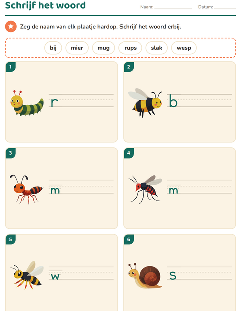 Voorbeeld van het Schrijf het woord-werkblad met Insecten en beestjes voor groep 3