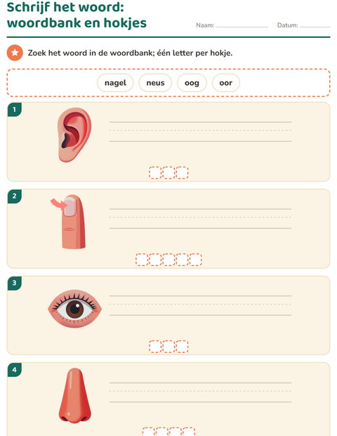 Voorbeeld van het Schrijf het woord-werkblad met Lichaamsdelen voor groep 3
