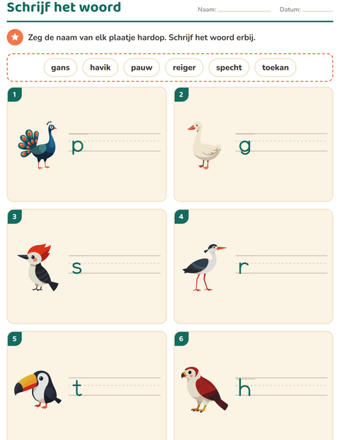 Voorbeeld van het Schrijf het woord-werkblad met Vogels 2 voor groep 3