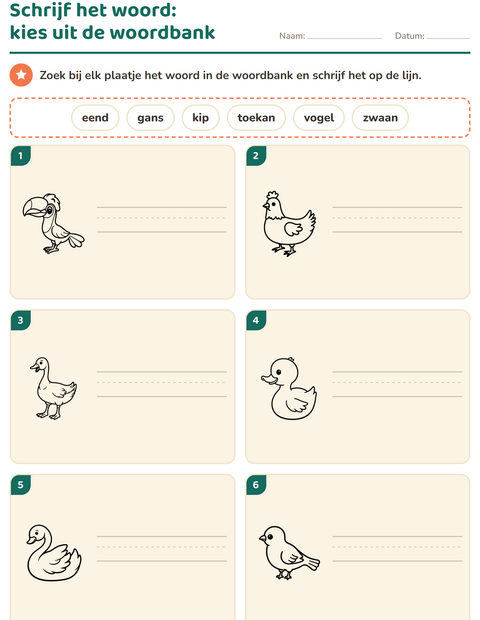 Voorbeeld van het Schrijf het woord-werkblad met Vogels Z&W 2 voor groep 3