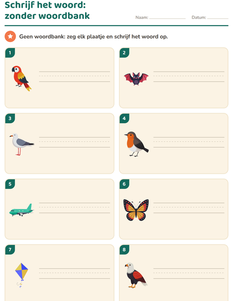 Voorbeeld van het Schrijf het woord-werkblad met Dingen die vliegen voor groep 3