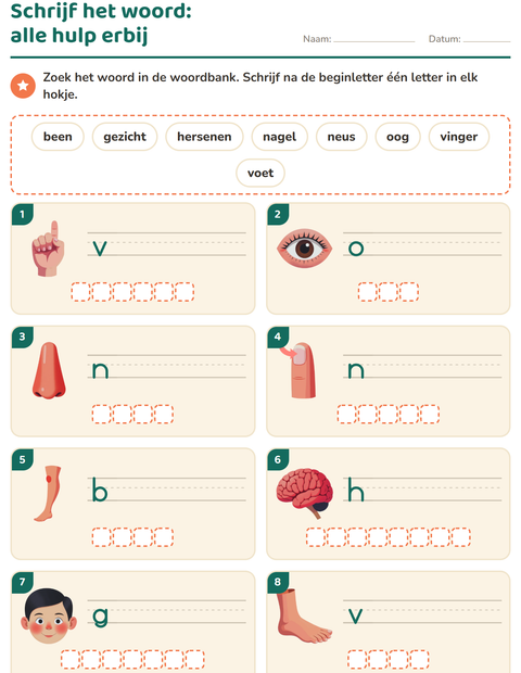 Voorbeeld van het Schrijf het woord-werkblad met Lichaamsdelen voor groep 3