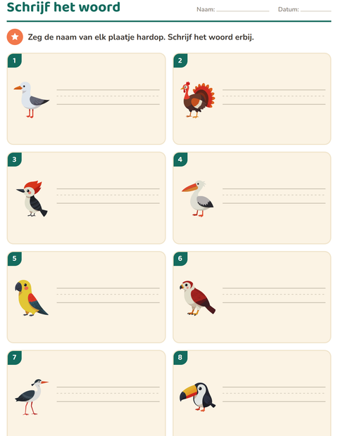 Voorbeeld van het Schrijf het woord-werkblad met Vogels 2 voor groep 3