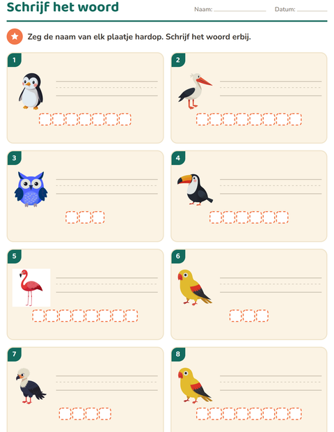 Voorbeeld van het Schrijf het woord-werkblad met Vogels voor groep 3