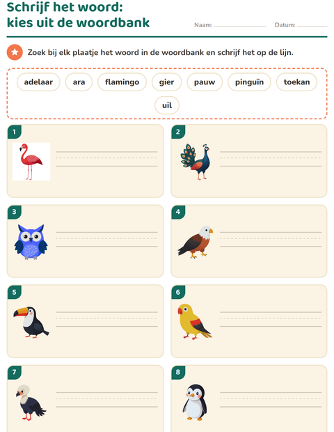 Voorbeeld van het Schrijf het woord-werkblad met Vogels voor groep 3