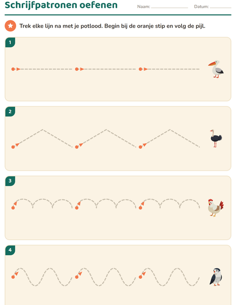 Voorbeeld van het Schrijfpatronen-werkblad met Vogels 2 voor kleuterklas