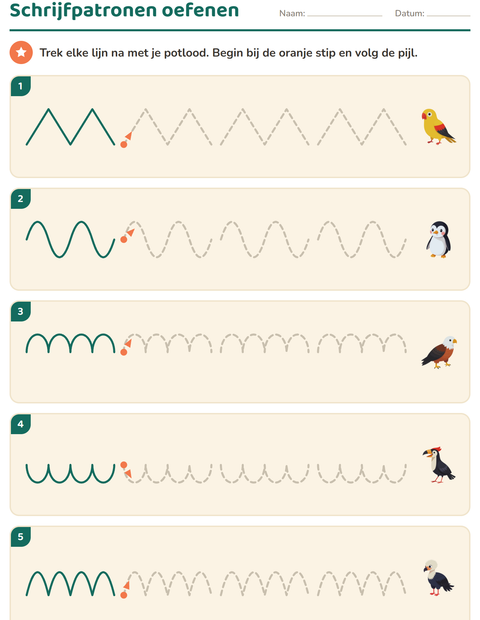 Voorbeeld van het Schrijfpatronen-werkblad met Vogels voor kleuterklas