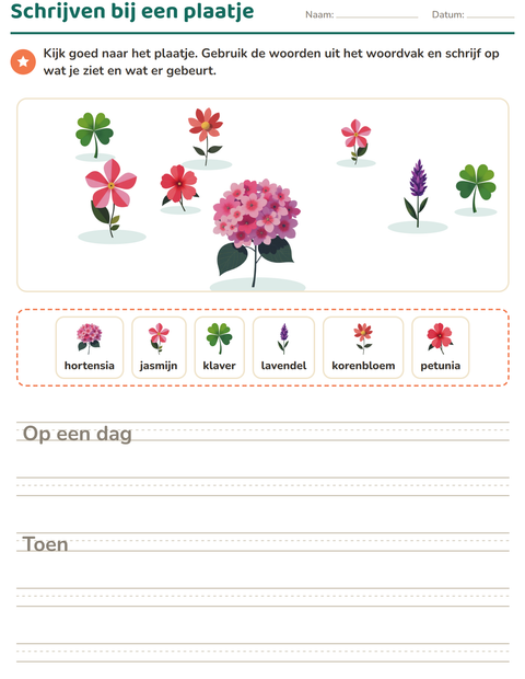 Voorbeeld van het Schrijven bij een plaatje-werkblad met Bloemen voor groep 4