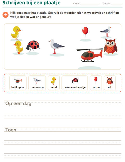 Voorbeeld van het Schrijven bij een plaatje-werkblad met Dingen die vliegen voor groep 4