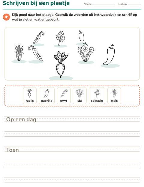 Voorbeeld van het Schrijven bij een plaatje-werkblad met Groenten ZW 2 voor groep 4