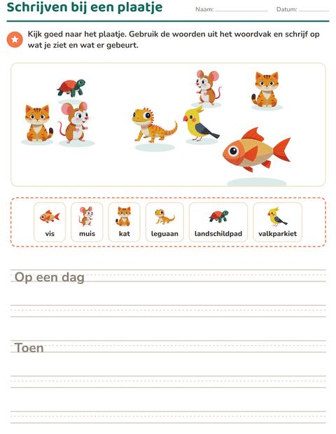 Voorbeeld van het Schrijven bij een plaatje-werkblad met Huisdieren voor groep 4