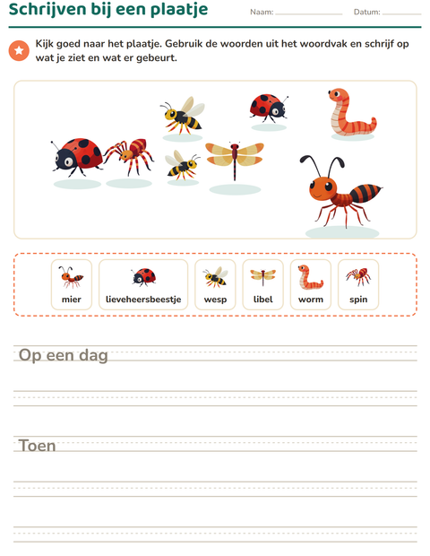 Voorbeeld van het Schrijven bij een plaatje-werkblad met Insecten en beestjes voor groep 4