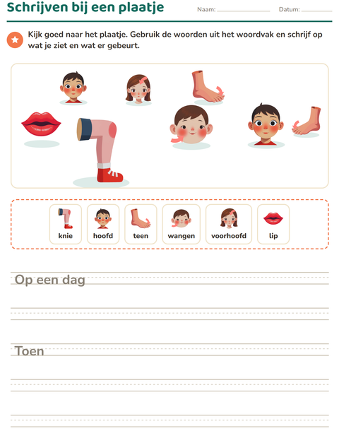 Voorbeeld van het Schrijven bij een plaatje-werkblad met Lichaamsdelen voor groep 4
