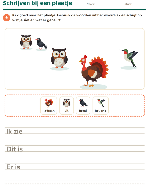 Voorbeeld van het Schrijven bij een plaatje-werkblad met Vogels 2 voor groep 4