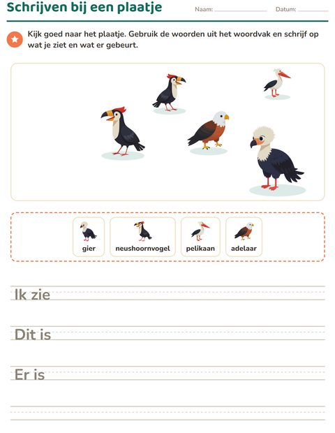 Voorbeeld van het Schrijven bij een plaatje-werkblad met Vogels voor groep 4
