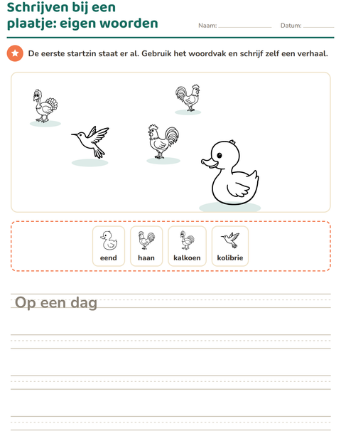 Voorbeeld van het Schrijven bij een plaatje-werkblad met Vogels Z&W 2 voor groep 4