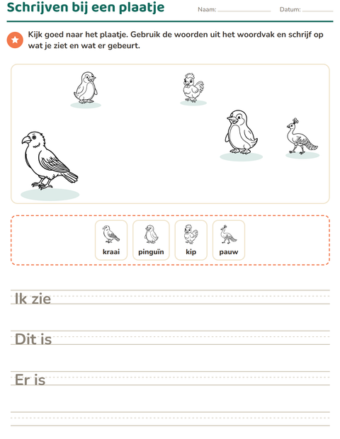 Voorbeeld van het Schrijven bij een plaatje-werkblad met Vogels Z&W voor groep 4