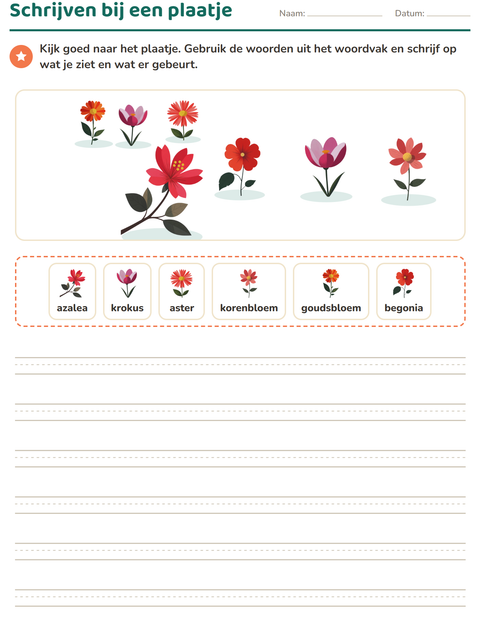 Voorbeeld van het Schrijven bij een plaatje-werkblad met Bloemen voor groep 4