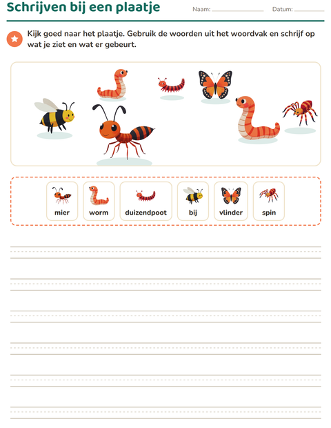 Voorbeeld van het Schrijven bij een plaatje-werkblad met Insecten en beestjes voor groep 4