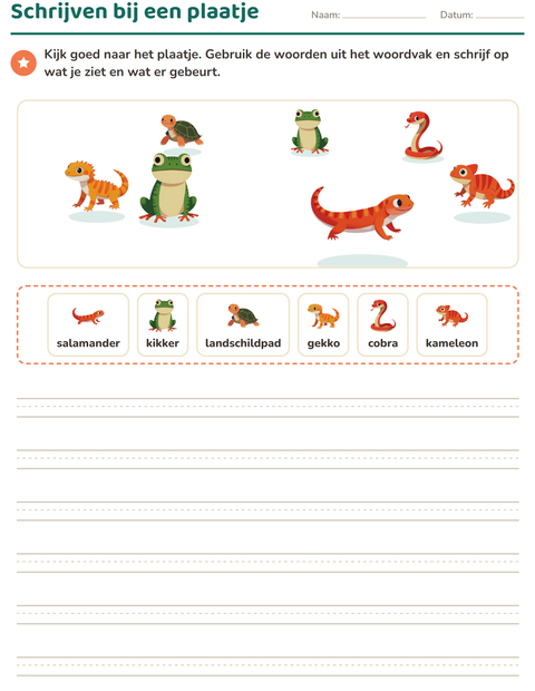 Voorbeeld van het Schrijven bij een plaatje-werkblad met Reptielen en amfibieën voor groep 4