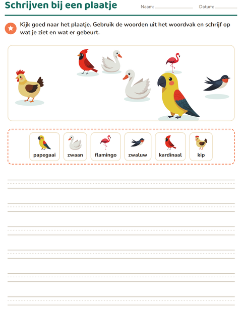Voorbeeld van het Schrijven bij een plaatje-werkblad met Vogels 2 voor groep 4