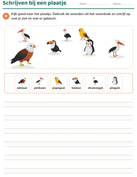 Voorbeeld van het Schrijven bij een plaatje-werkblad met Vogels voor groep 4