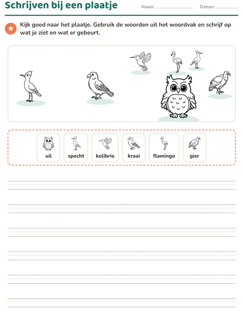 Voorbeeld van het Schrijven bij een plaatje-werkblad met Vogels Z&W voor groep 4