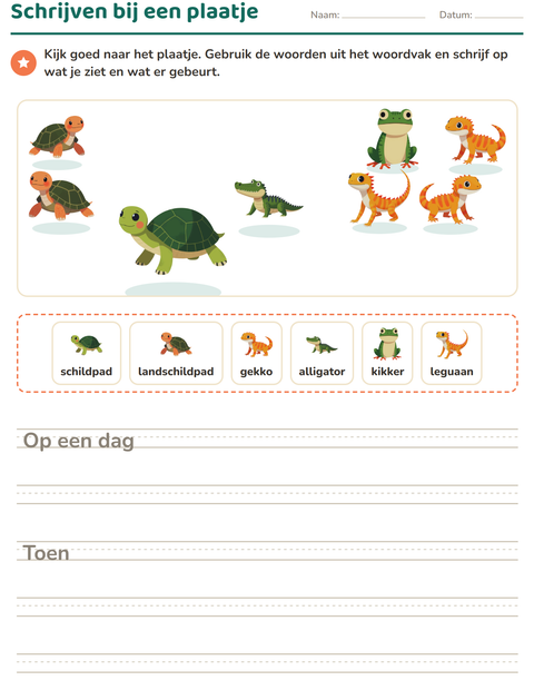 Voorbeeld van het Schrijven bij een plaatje-werkblad met Reptielen en amfibieën voor groep 4