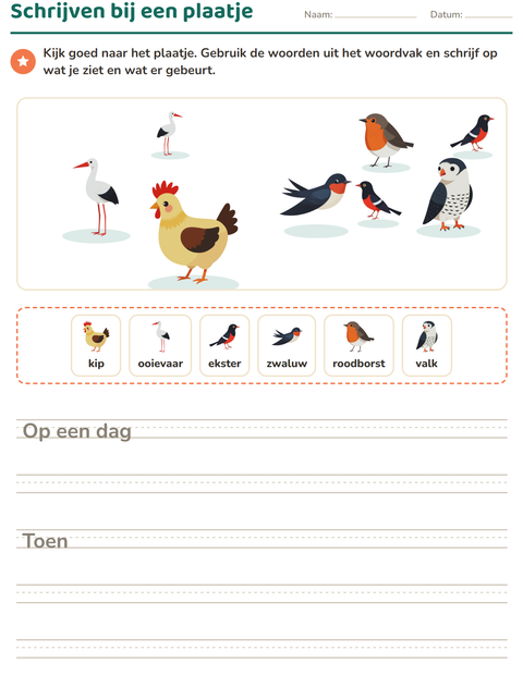 Voorbeeld van het Schrijven bij een plaatje-werkblad met Vogels 2 voor groep 4