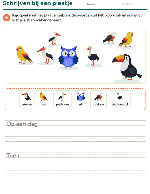 Voorbeeld van het Schrijven bij een plaatje-werkblad met Vogels voor groep 4