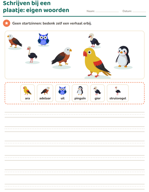 Voorbeeld van het Schrijven bij een plaatje-werkblad met Vogels voor groep 4