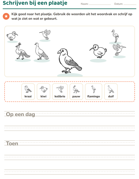 Voorbeeld van het Schrijven bij een plaatje-werkblad met Vogels Z&W voor groep 4
